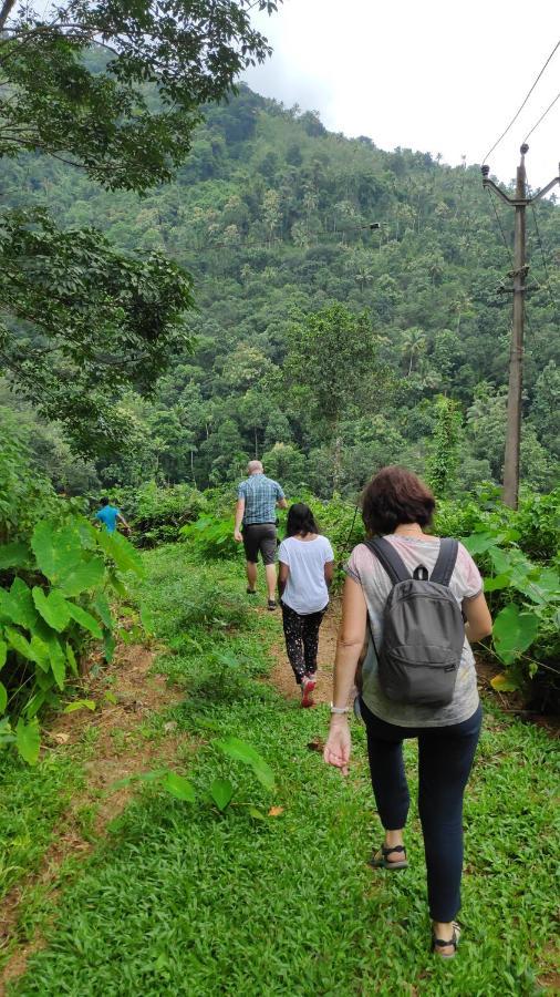 Vanilla County Heritage Plantation Bungalow Vagamon Exteriör bild