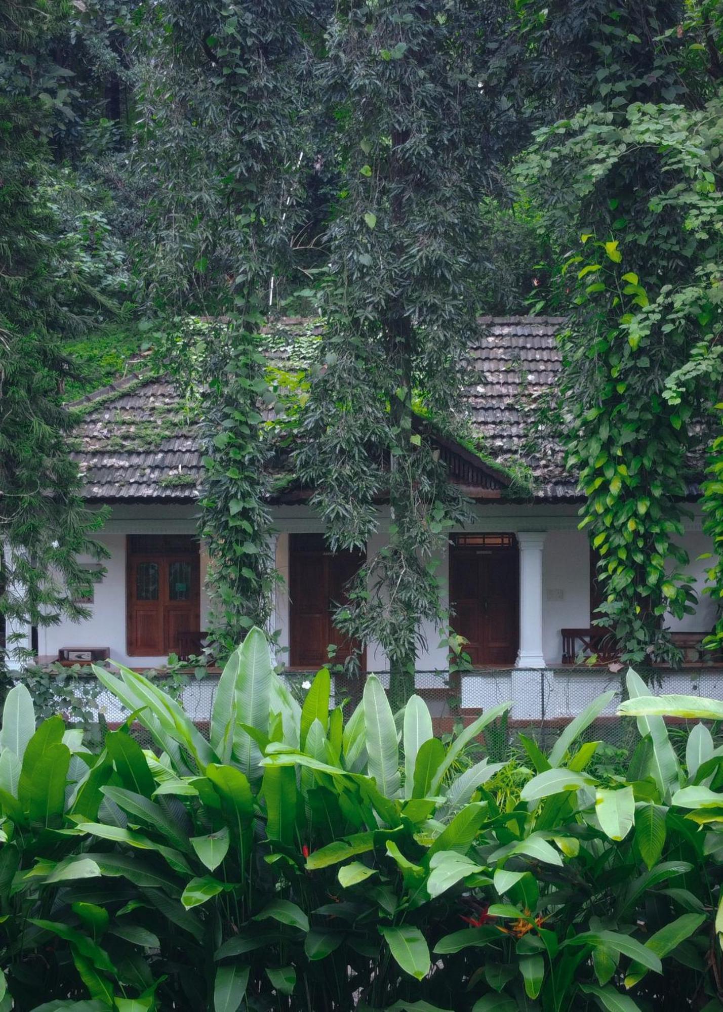 Vanilla County Vagamon Exteriör bild